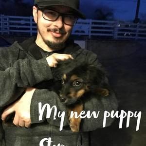 Meet your Posher, Jamie